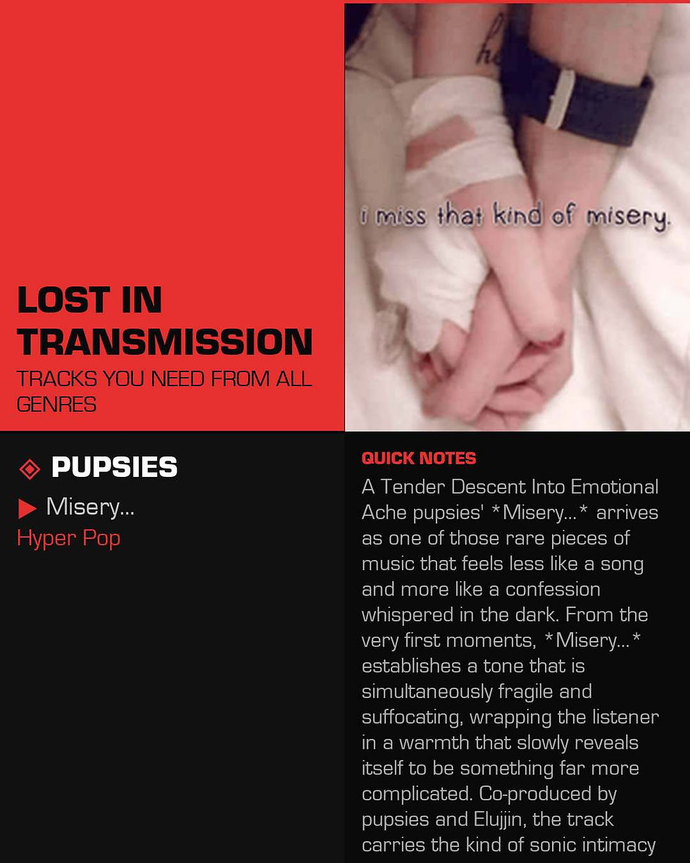 pupsies Misery... Meaning and Review