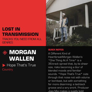 Morgan Wallen Hope That's True Meaning and Review