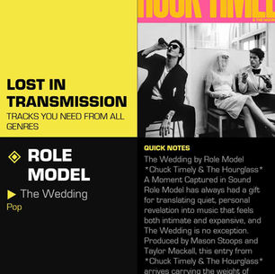 Role Model The Wedding Meaning and Review