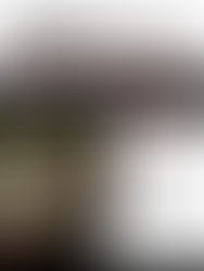 Zach Bryan Say Why Meaning and Review