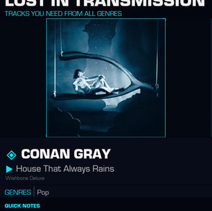 Conan Gray House That Always Rains Meaning and Review