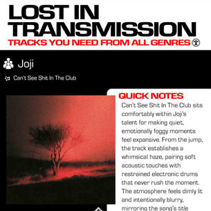 Joji Can’t See Shit In The Club Meaning and Review