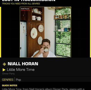 Niall Horan Little More Time Meaning and Review