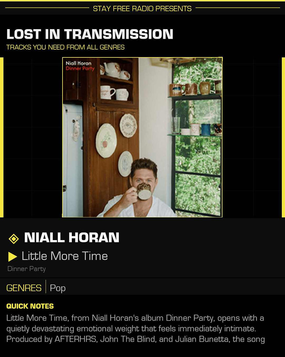 Niall Horan Little More Time Meaning and Review