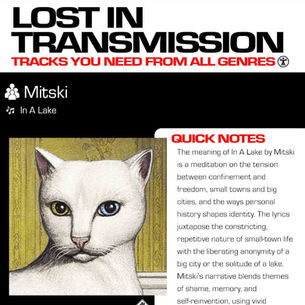 Mitski In A Lake Meaning and Review