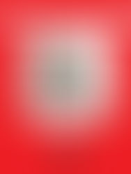 Sheck West - Mud Boy - Album Review