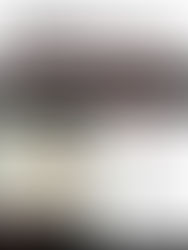 Lana Del Rey Bluebird Meaning and Review