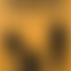 Me And My Dog by Boygenius Meaning And Review