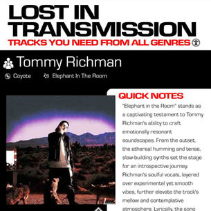 Tommy Richman Elephant In The Room Meaning and Review