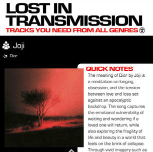 Joji Dior Meaning and Review