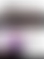 Shakira Zoo Meaning and Review 