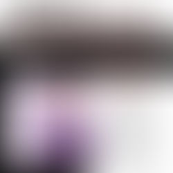 Shakira Zoo Meaning and Review 