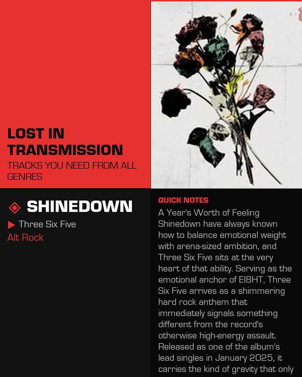 Shinedown Three Six Five Meaning and Review