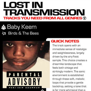 Baby Keem Birds & The Bees Meaning and Review