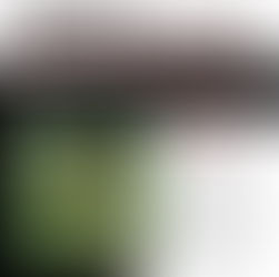 Taylor Swift Wood Meaning and Review