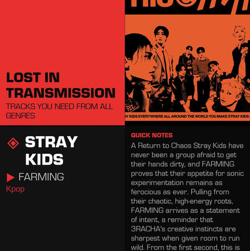 Stray Kids FARMING Meaning and Review