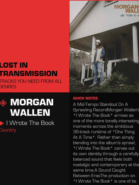 Morgan Wallen I Wrote The Book Meaning and Review