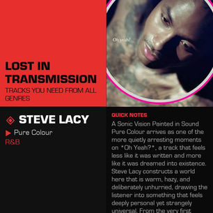 Steve Lacy Pure Colour Meaning and Review