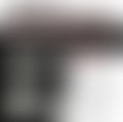 Lana Del Rey White Feather Hawk Tail Deer Hunter Meaning and Review