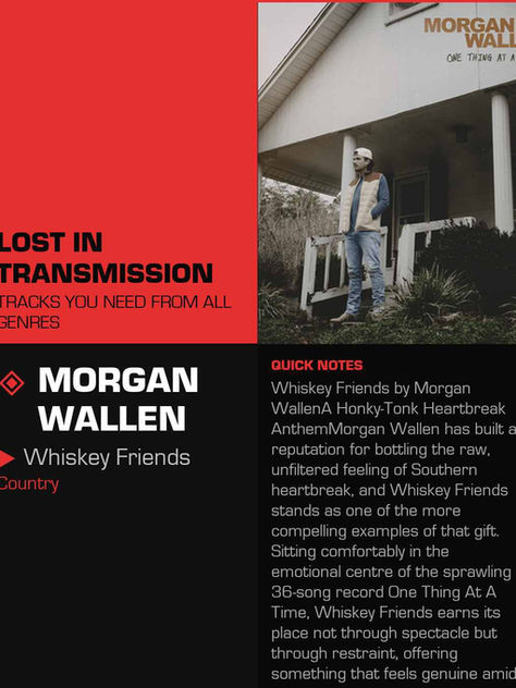 Morgan Wallen Whiskey Friends Meaning and Review