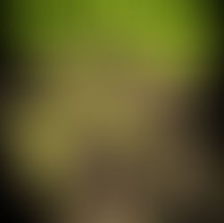 Bleachers Tiny Moves Meaning And Review