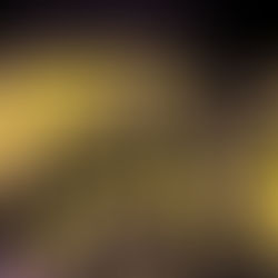 Modular vs Custom Booths: Which Format Fits Your 2026 Exhibition Strategy?