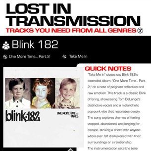 Blink 182 Take Me In Meaning And Review