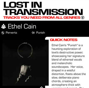 Ethel Cain Punish Meaning and Review