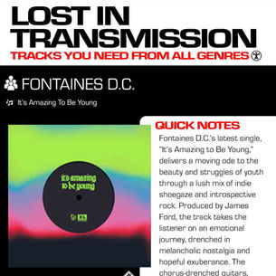 Fontaines D.C. It’s Amazing To Be Young Meaning and Review