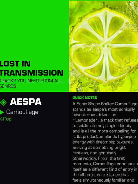 Aespa Camouflage Meaning and Review