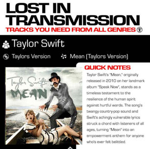 Taylor Swift Mean Meaning and Review Lyrics Explained