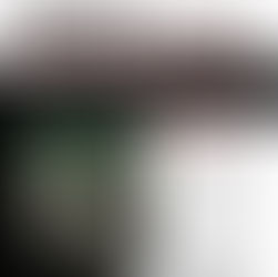 Tyler The Creator Judge Judy Meaning and Review 