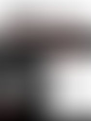 Duckwrth Grey Scale Meaning and Review