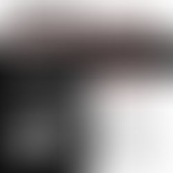 Duckwrth Grey Scale Meaning and Review