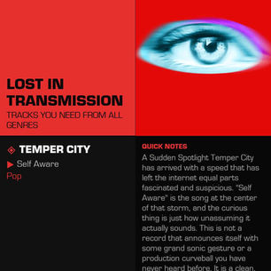 Temper City Self Aware Meaning and Review