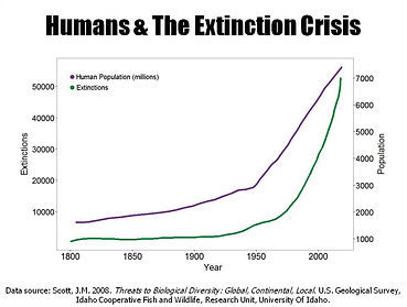 Human Extinction.jpg