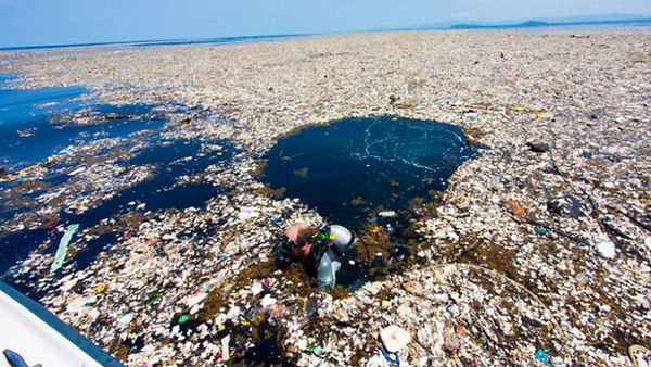 Ocean Trash.jpg