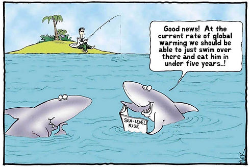 The Fish.jpg