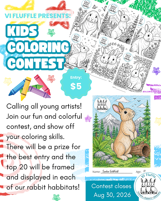 Website Coloring Contest .png