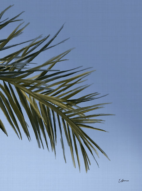 BRANCH SIGNED.jpg