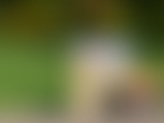 JOHNNY APPLESEED: THE STORY OF A LEGEND