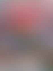 HAPPY VALENTINE'S DAY, LITTLE CRITTER