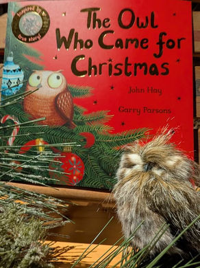 THE OWL WHO CAME FOR CHRISTMAS
