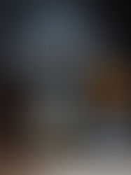 MOONSHOT: THE FLIGHT OF APOLLO 11