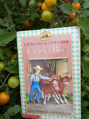 FARMER BOY