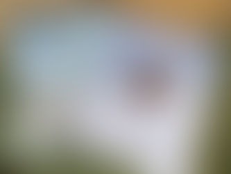 TWELVE DAYS OF CHRISTMAS BOOK COUNTDOWN - DAY 11