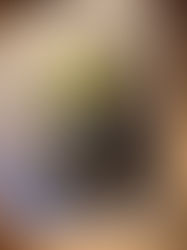 BARTIMAEUS: THE AMULET OF SAMARKAND