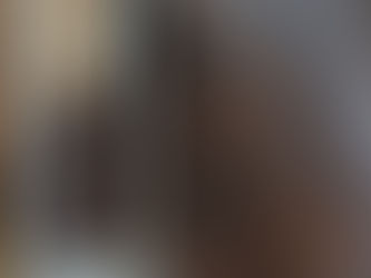 THE HORSE AND HIS BOY