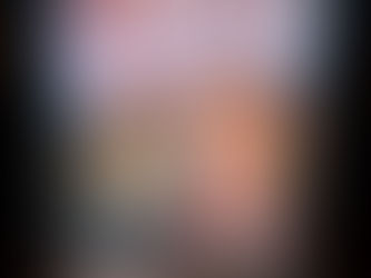 THE HIDING PLACE: A GRAPHIC NOVEL