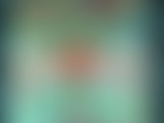 THE MARK OF THE DRAGONFLY